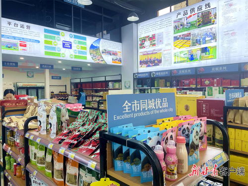 隴南市武都區 油橄欖產業蓬勃 奏響春節序曲