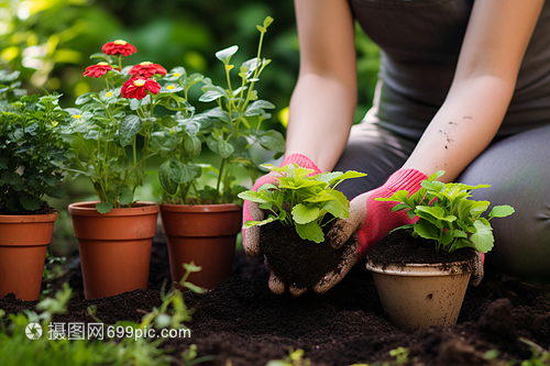 花卉苗木的科學(xué)養(yǎng)殖方法與注意事項(xiàng)